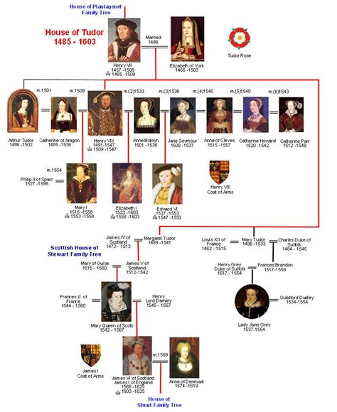 1485 enrico tudor|house of tudor family tree.